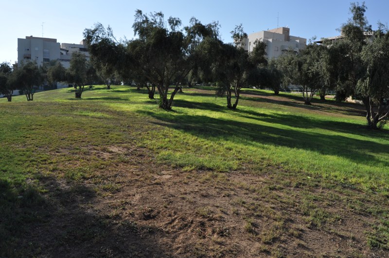 WhatsApp Image 2020-09-12 at 2.30.01 PM (1).jpeg.jpeg